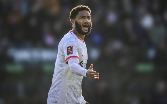 拔的训练 拔的训练