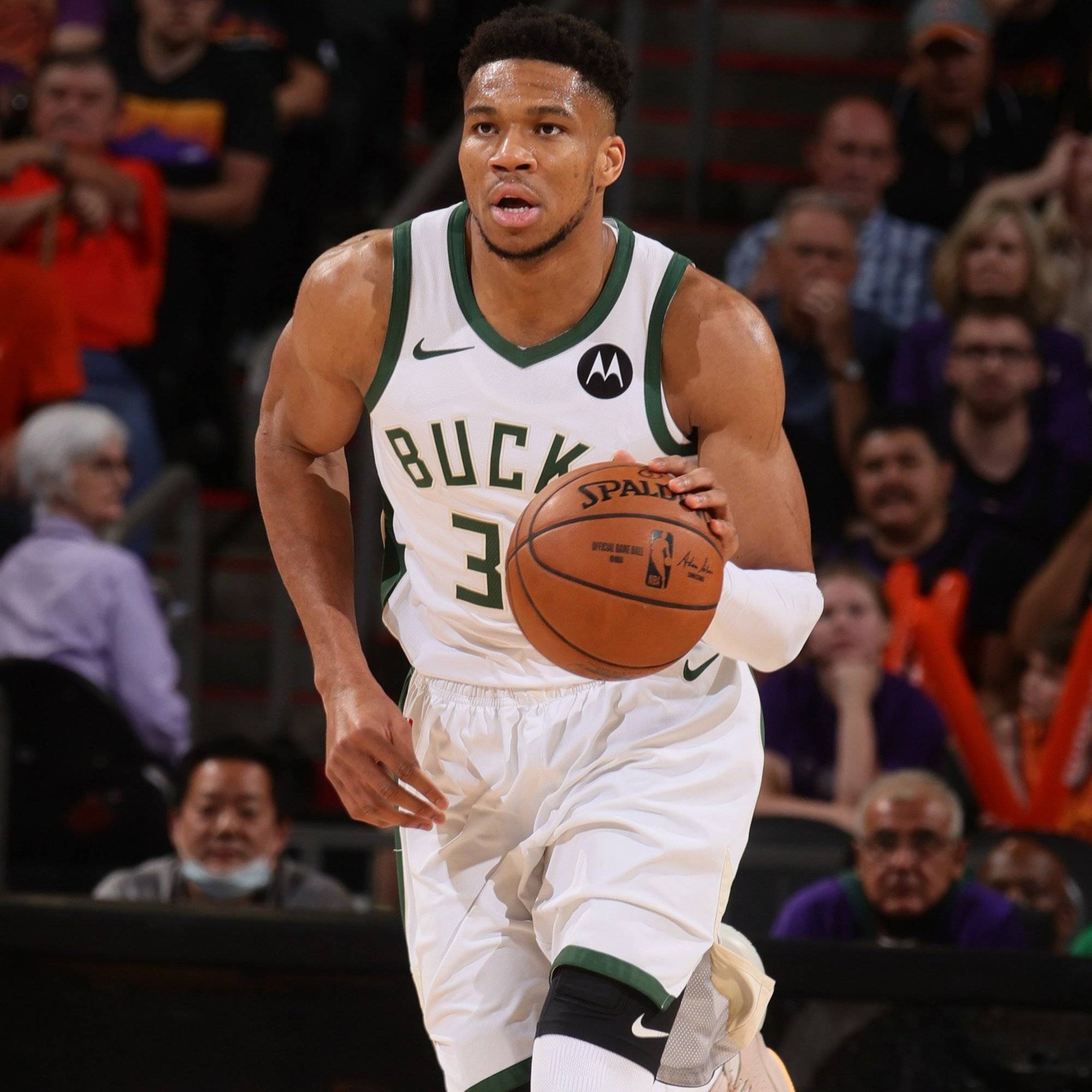 微小的缝线 微小的缝线