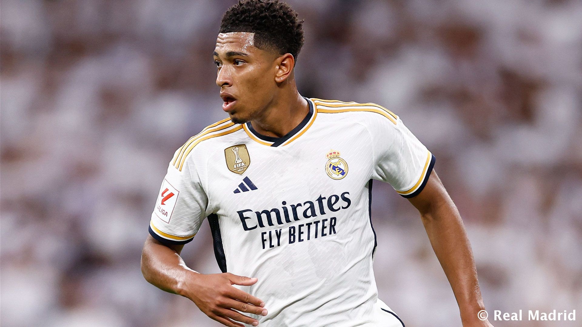 并给出可落 并给出可落